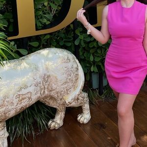 ZARA Spring Pink Mini Dress